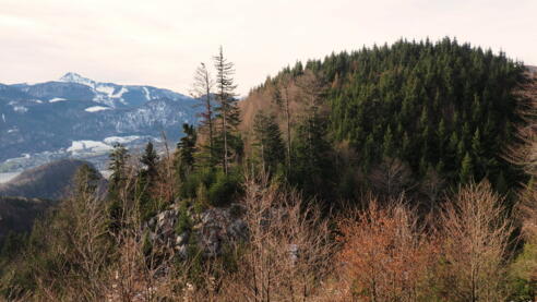 Kesselkopf 928m von Osten