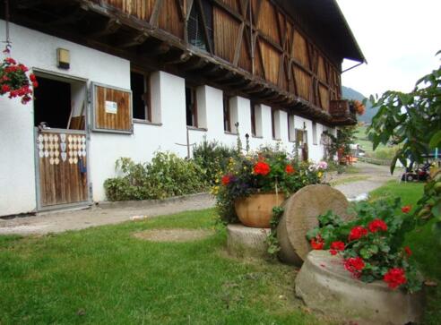 Schottenhof - Urlaub am Bauernhof