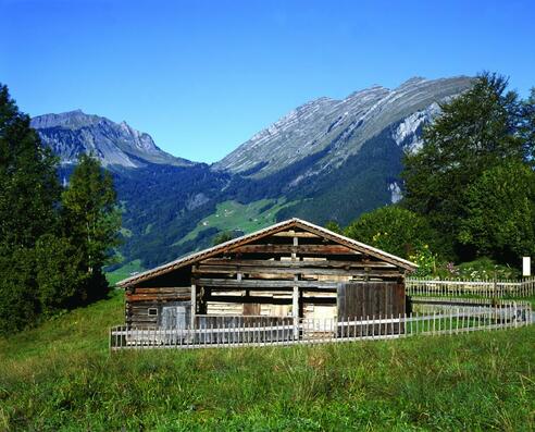Natur-Erlebnis Holdamoos