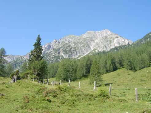 Blick zur Ennskraxn