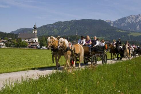 Kutschenfahrten mit Mathias Krall