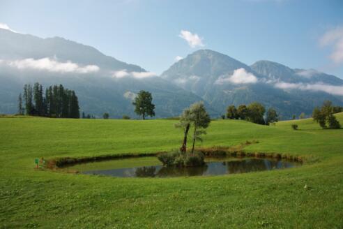 Weiher