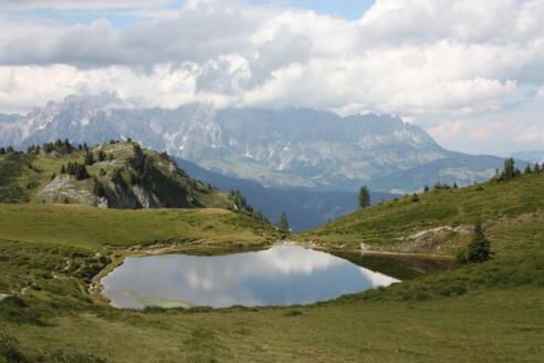 Paarseen