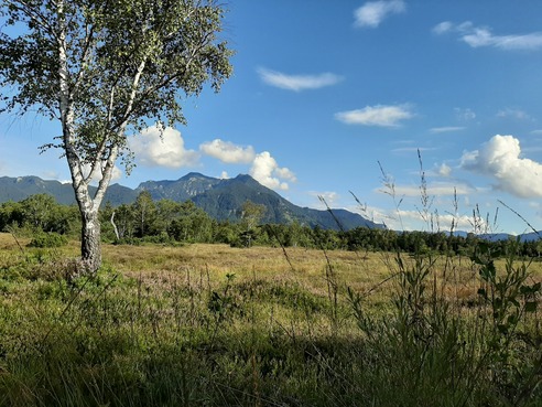 Picknickplatzl am Moorrundweg
