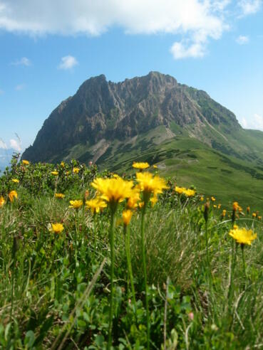 Der Gr. Rettenstein im Wildkogelgebiet - 2.362 m