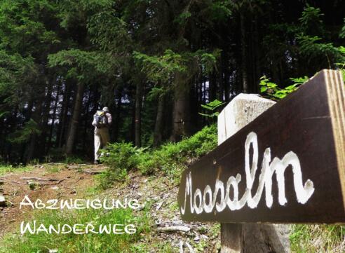 Abzweigung Wanderweg Moosalm