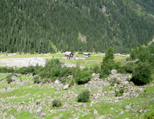Smaragde schürfen hinter der Alpenrose