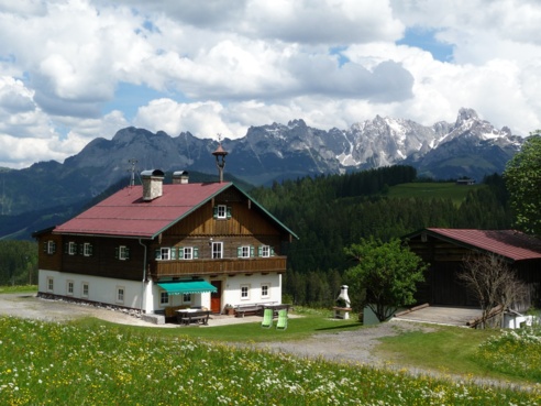 Göglgut