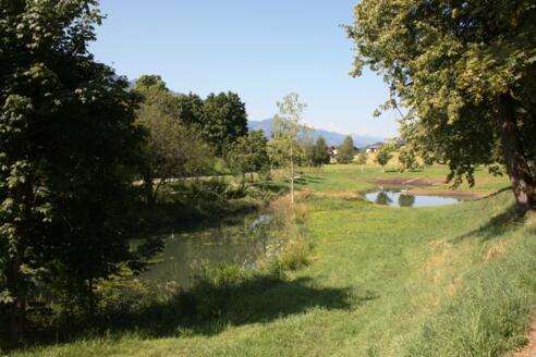 Biotop Grafenhof