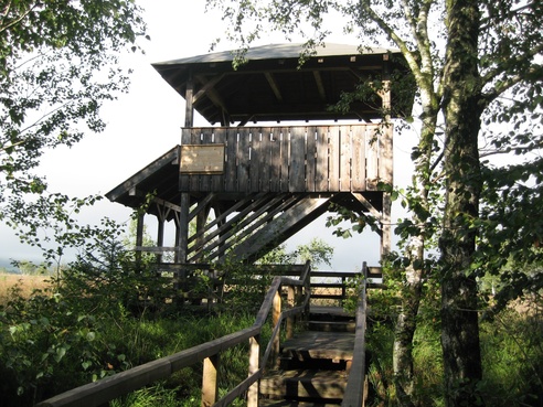 Aussichtsturm in der Kendlmühlfilze
