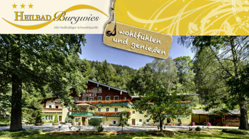 Pension Heilbad Burgwies ***