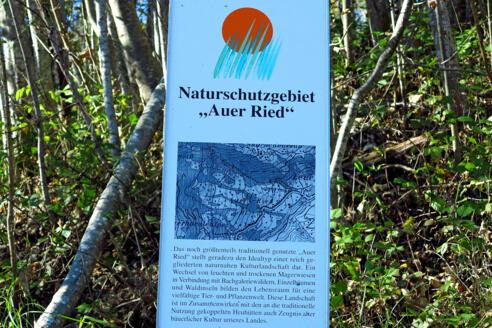 Infotafel Naturschutzgebiet Auer Ried.