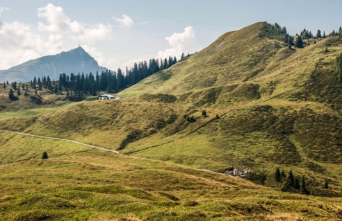 Kitzbüheler Horn und Baumooskogl