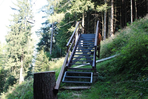 Brücke über die Sommerrodelbahn