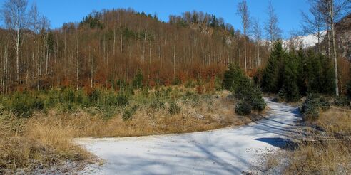 Die nächste Abzweigung - und es geht rechts weiter auf den Ameisstein