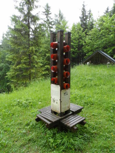 Rondell mit Infos zu Flora und Fauna