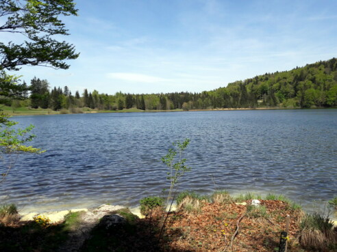 Laudachsee ~890m, Blick zum NO-Ufer