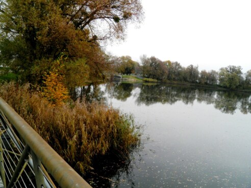 Weiher westlich Hard