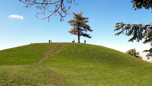 Grillenparz 842m, Gipfellärche