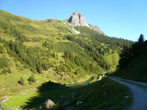 Fischkalter im Gampadelstal