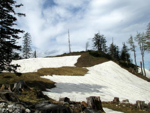 Loskogel 1538m