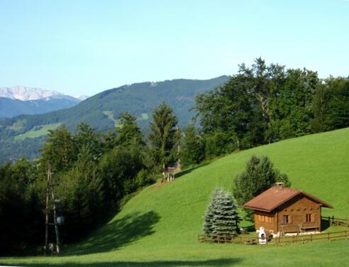 Rotstein 837m, Blick zur Almhütte auf 650m mit Sengsengebirge