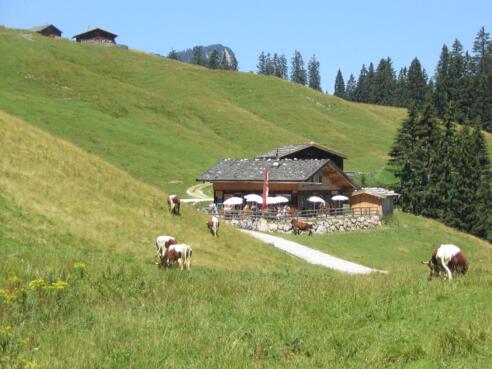 Litzlalm