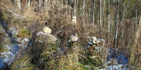 Zahlreiche Steinmandln weisen den Weg