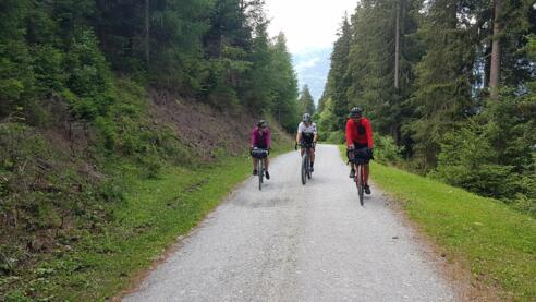 Durch den schattigen Wald am Felberberg