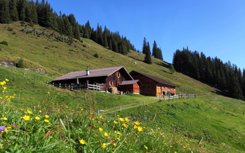 Vorderkaseralm