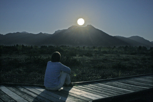 Vollmondspaziergang in der Kendlmühlfilze
