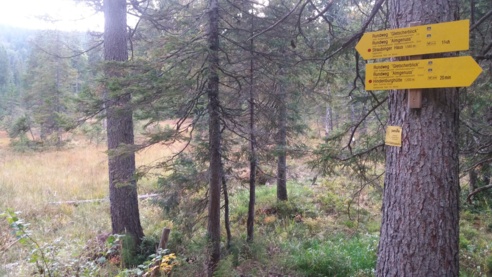 Wegweiser Gletscherrundblick / Almgenuss auf der unteren Lichtung.