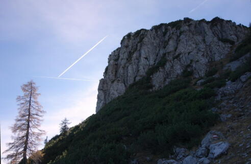Roßschopf 1647m von Norden