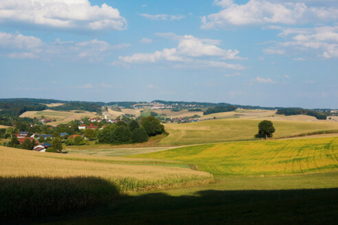 bild-17261739