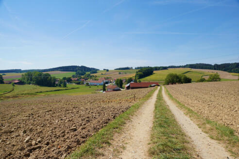 bild-17261487