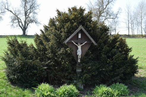 dsc_0607-2-