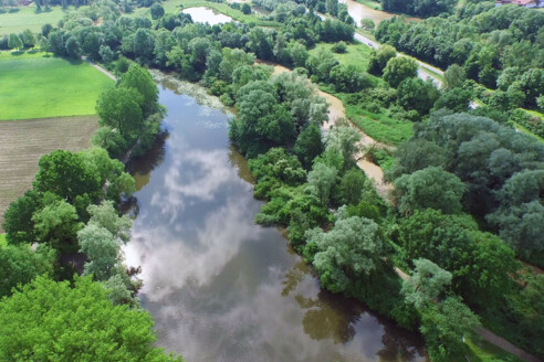 neues bild für angelweiher