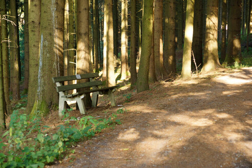 bild-17261718