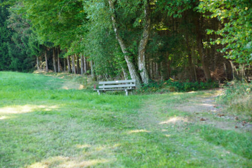bild-17261570