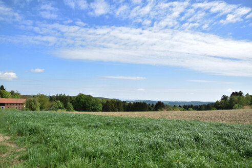 ausblick-richtung-kirnbachtal_bayerisher-wald-in-fuerstberg_carmen-tomandl