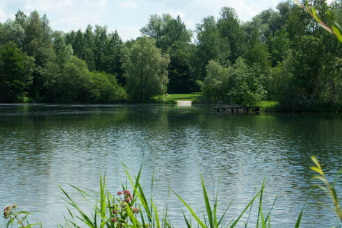 bild-20485331