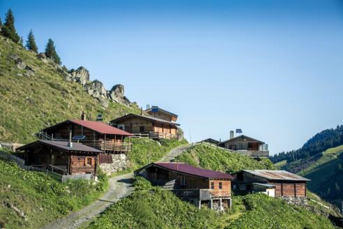 Viertelalm