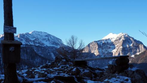 Vord. Signalkogel 906m mit Brunnkogel