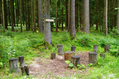 Jakobs-Rast