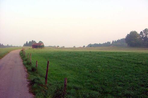 Blick über das Moor