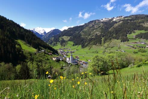 Aussicht auf Großarl