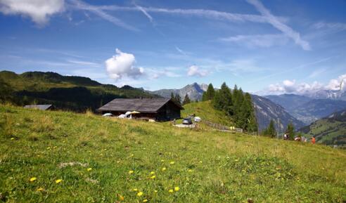 Großwildalm, 1.778 m