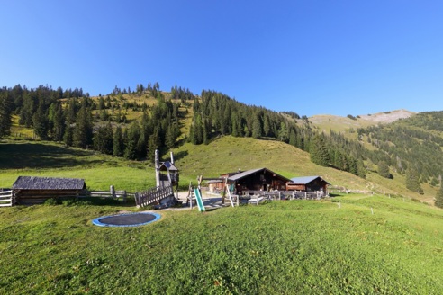 Unterwandalm, 1.600 m