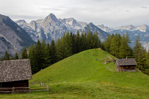 Hochsteinalm (1296 m)
