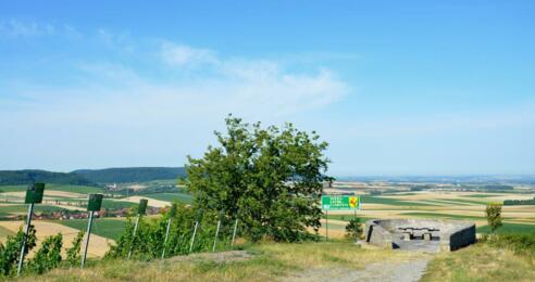 Weinlehrpfad Abtswind